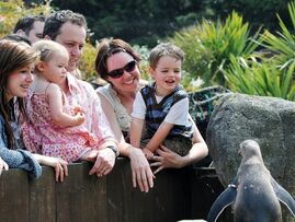 SEA LIFE Weymouth Adventure Park & Tower