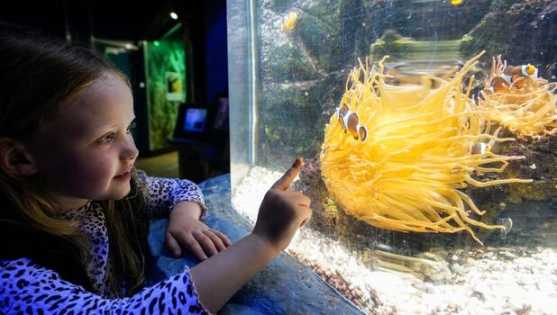 The National SEA LIFE Centre Birmingham ADD 1