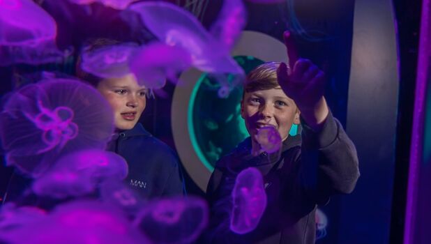 The National SEA LIFE Centre Birmingham ADD 2