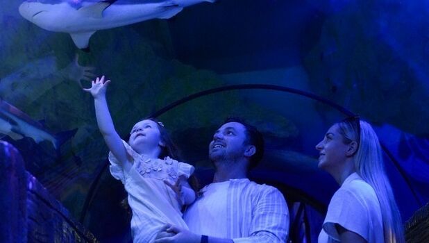 SEA LIFE Blackpool ADD 5 (1)