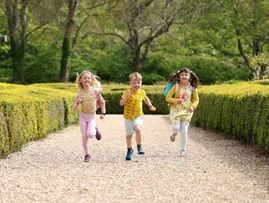 Image of Fishbourne Roman Palace and Gardens