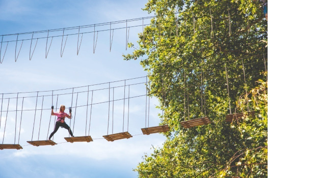 Go Ape Southampton ADD 2