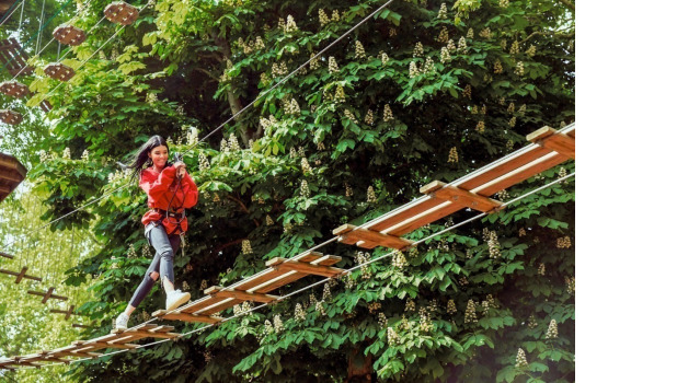 Go Ape Southampton ADD 3