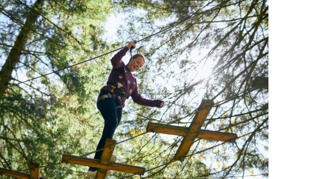 Go Ape Southampton Detail