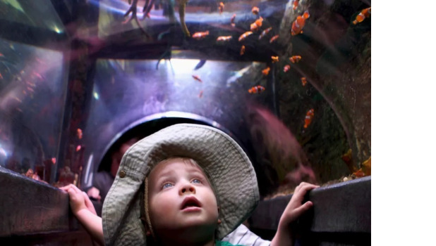 SEA LIFE Manchester ADD 2 (1)