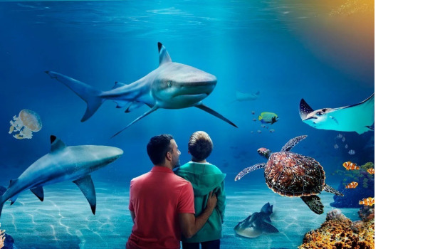 SEA LIFE Manchester Detail (1)