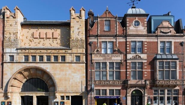 Joy Gregory: Catching Flies With Honey Detail