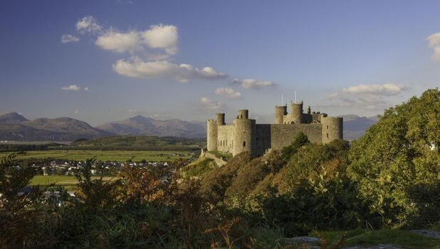 Harlech Castle Detail (1)